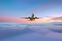 «Охота» на Боинги и Аэробусы: что такое споттинг и почему это стало хобби тысяч людей