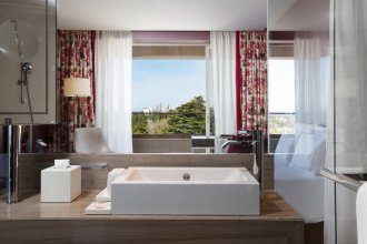 Swiss Advantage room, park view -  king bed: Photo 3