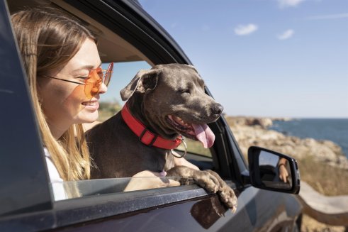 Traveling with Pets: Where You Can Vacation with Your Dog