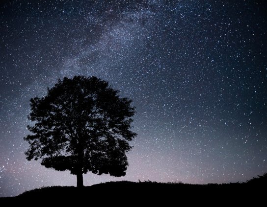 Where to see the starry sky in Russia: TOP 5 locations for astrophysics and observations