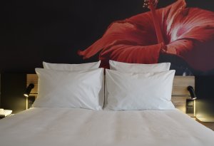 День рождения Novotel Санкт-Петербург Центр