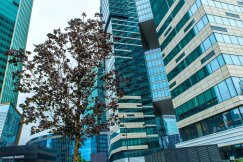 Свидание с небоскребами: самые атмосферные отели с видом на Москва-Сити