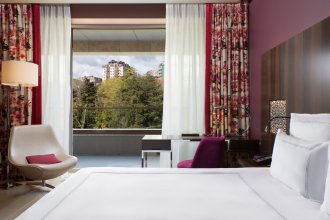 Swiss Advantage room, park view -  king bed: Photo 4