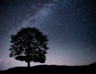 Where to see the starry sky in Russia: TOP 5 locations for astrophysics and observations