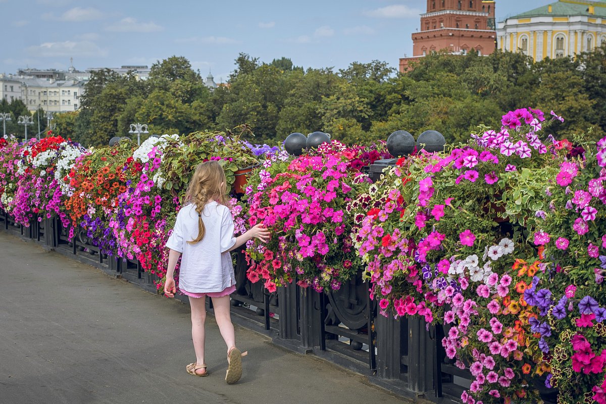 Цветы в парке